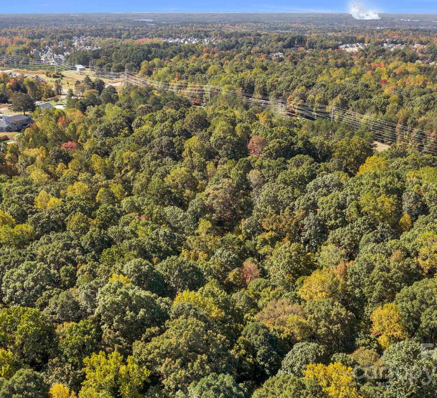 16521 Shallow Pond Road, Charlotte, North Carolina image 4
