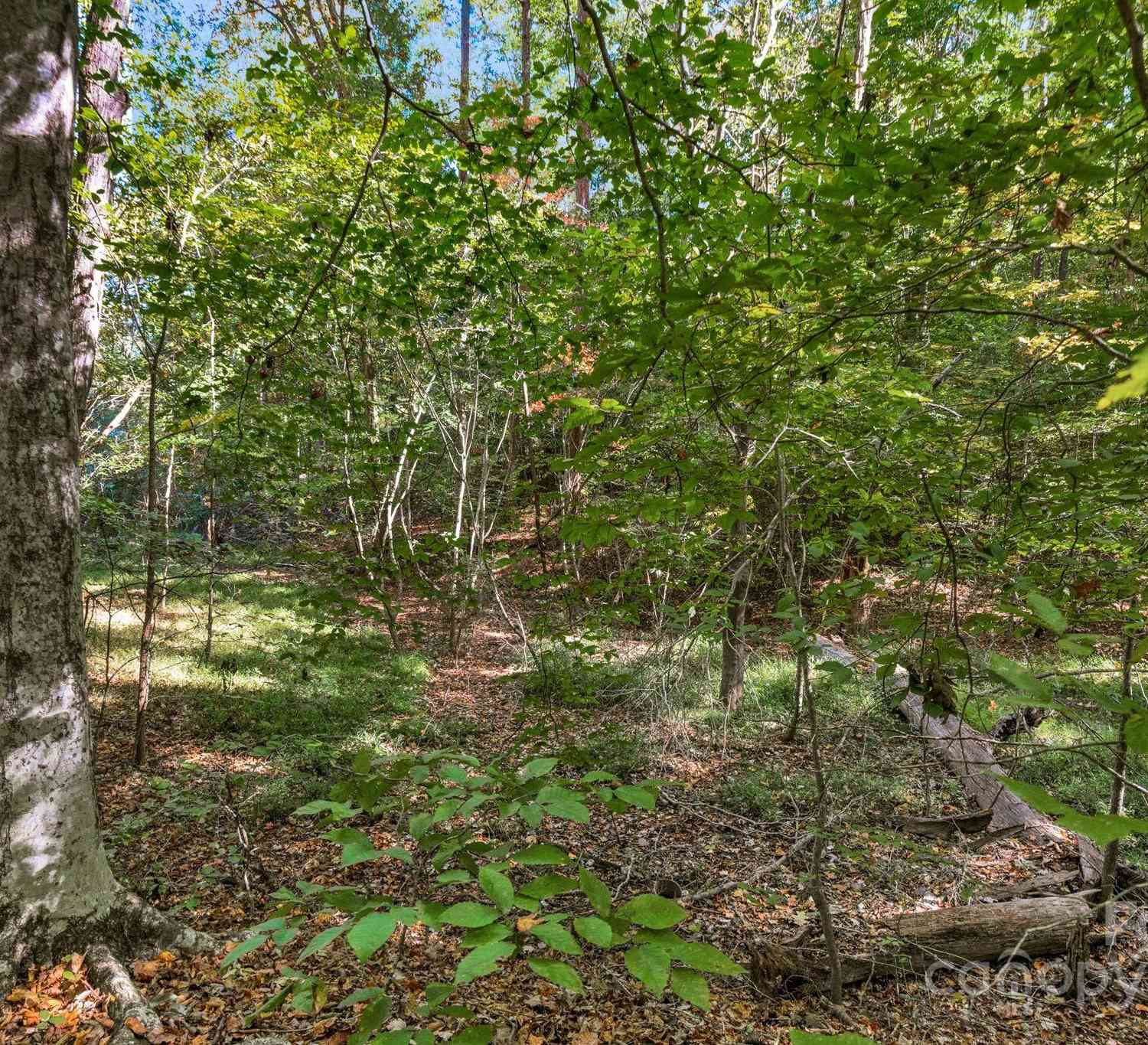 16521 Shallow Pond Road, Charlotte, North Carolina image 12