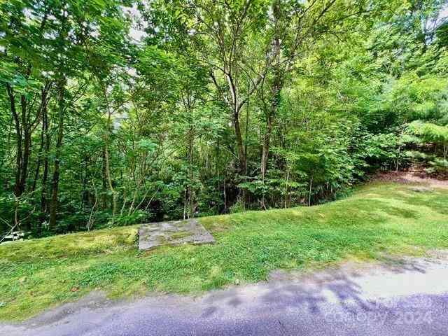 271 Mountain Morning Lane #41, Hendersonville, North Carolina image 4