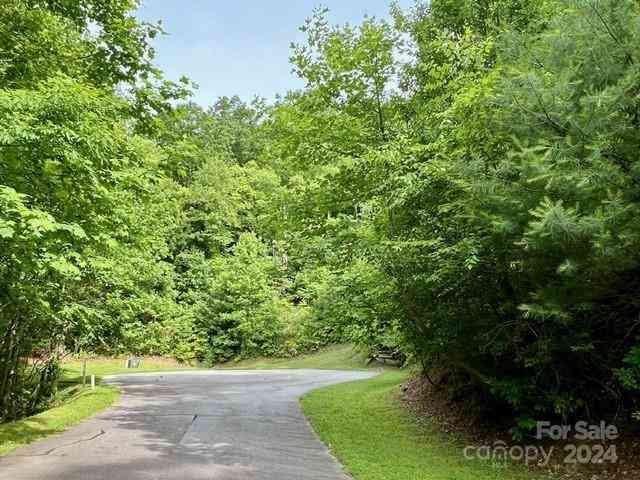 271 Mountain Morning Lane #41, Hendersonville, North Carolina image 3