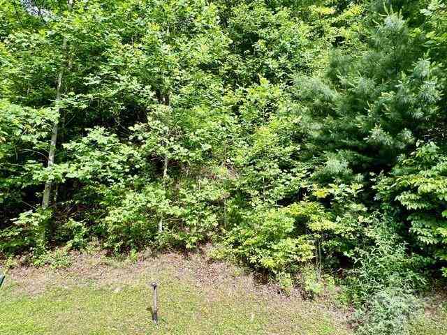 271 Mountain Morning Lane #41, Hendersonville, North Carolina image 5