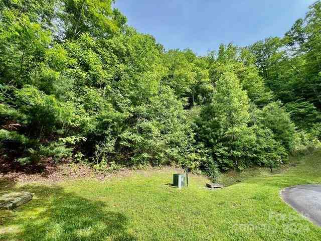 271 Mountain Morning Lane #41, Hendersonville, North Carolina image 1