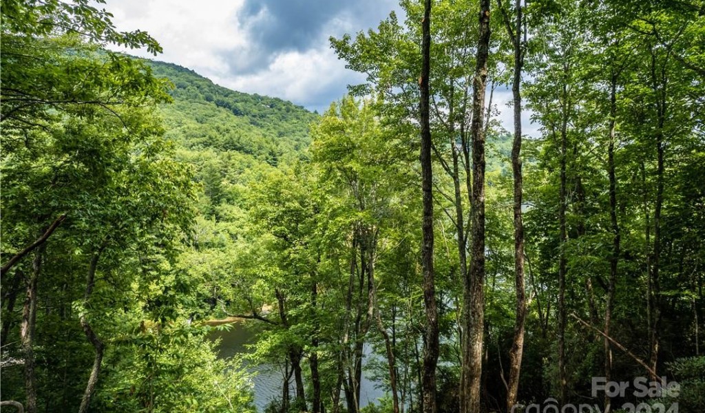 M 38 Cardinal Drive, Lake Toxaway, North Carolina image 9