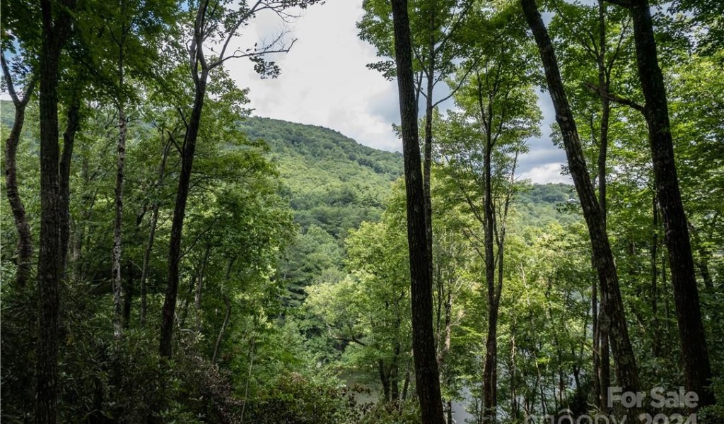 M 38 Cardinal Drive, Lake Toxaway, North Carolina image 6