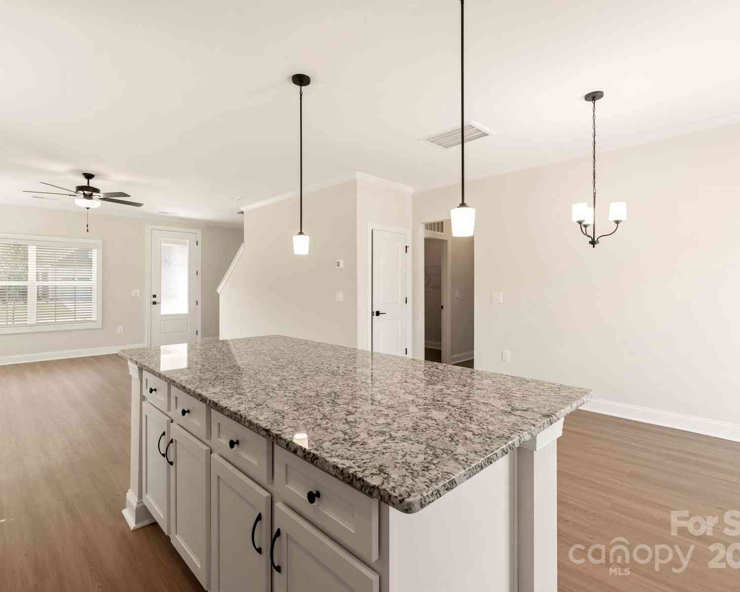 126 Brixham Loop, Troutman, North Carolina image 12