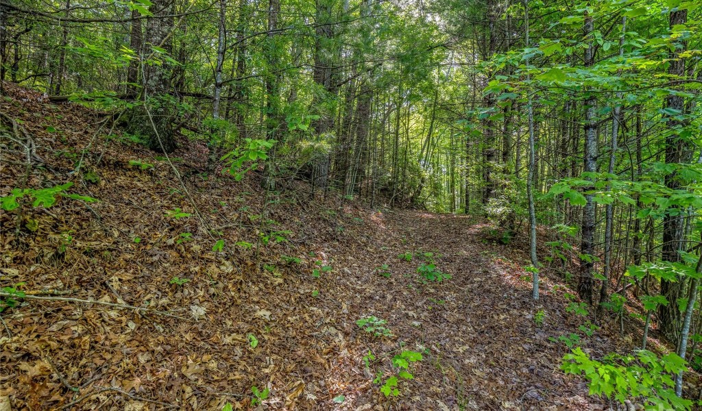 TBD (HM 103) Hawk Mountain Road, Lake Toxaway, North Carolina image 4