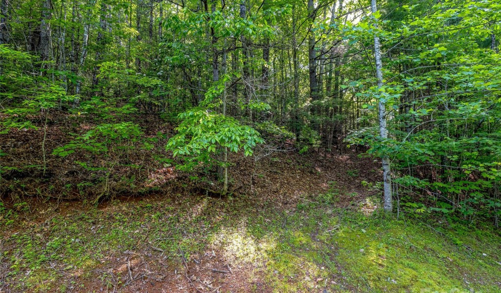 TBD (HM 103) Hawk Mountain Road, Lake Toxaway, North Carolina image 5