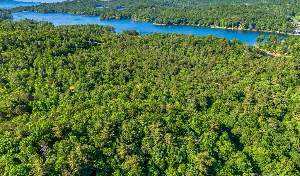 TBD (HM 103) Hawk Mountain Road, Lake Toxaway, North Carolina image 9