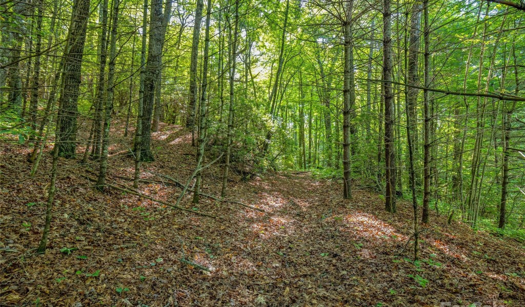 TBD (HM 103) Hawk Mountain Road, Lake Toxaway, North Carolina image 6