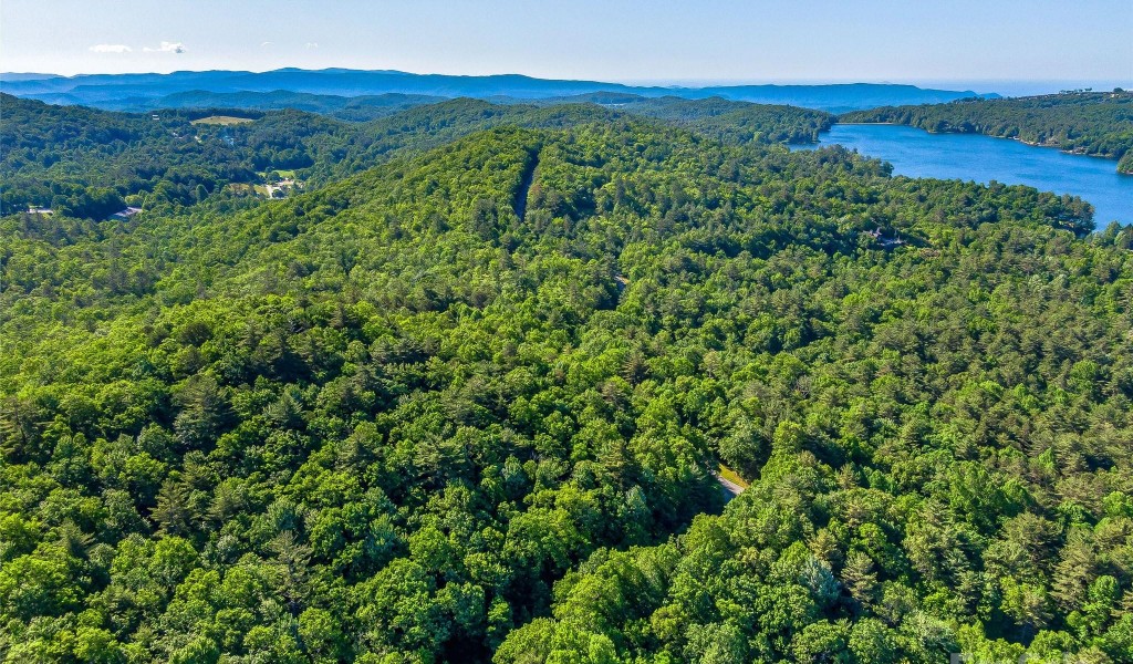 TBD (HM 103) Hawk Mountain Road, Lake Toxaway, North Carolina image 10