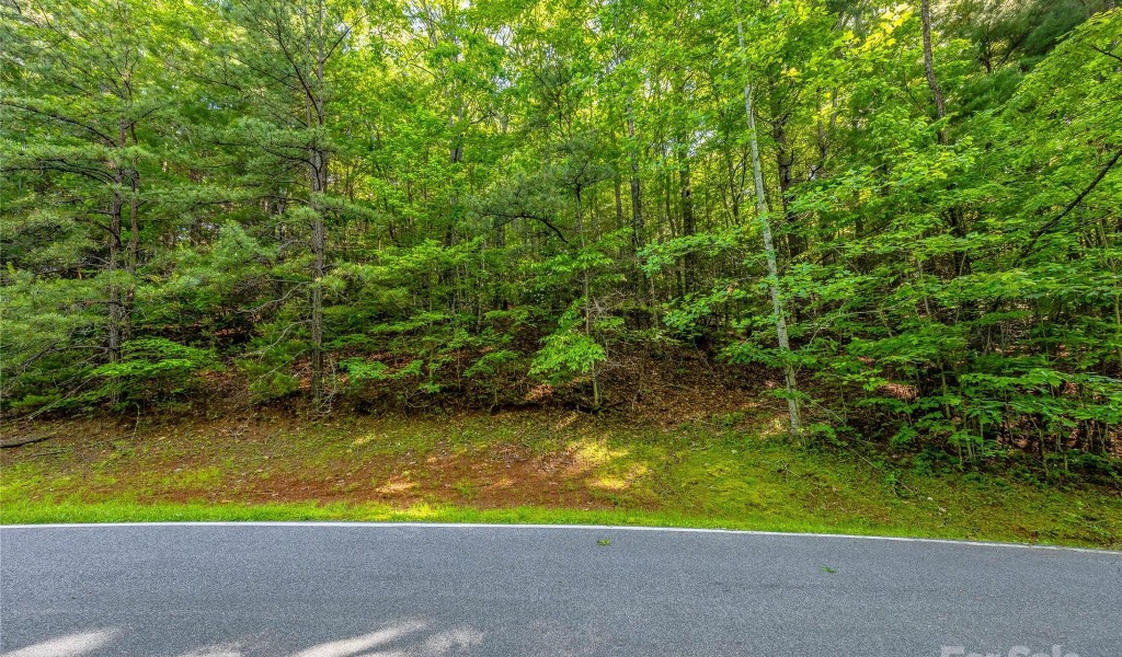 TBD (HM 103) Hawk Mountain Road, Lake Toxaway, North Carolina image 7