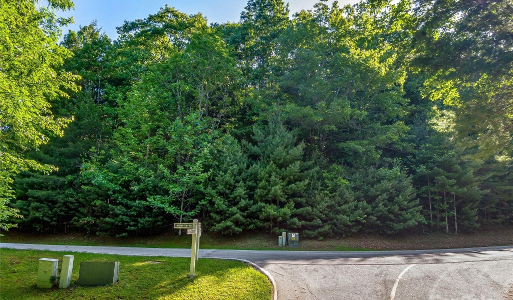 TBD (HM 103) Hawk Mountain Road, Lake Toxaway, North Carolina image 2