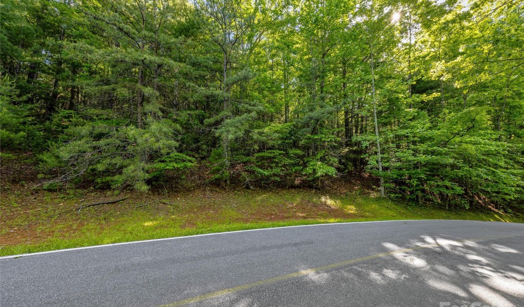 TBD (HM 103) Hawk Mountain Road, Lake Toxaway, North Carolina image 8