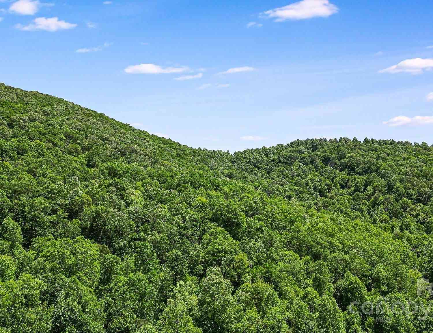 000 Still Spring Road, Black Mountain, North Carolina image 7