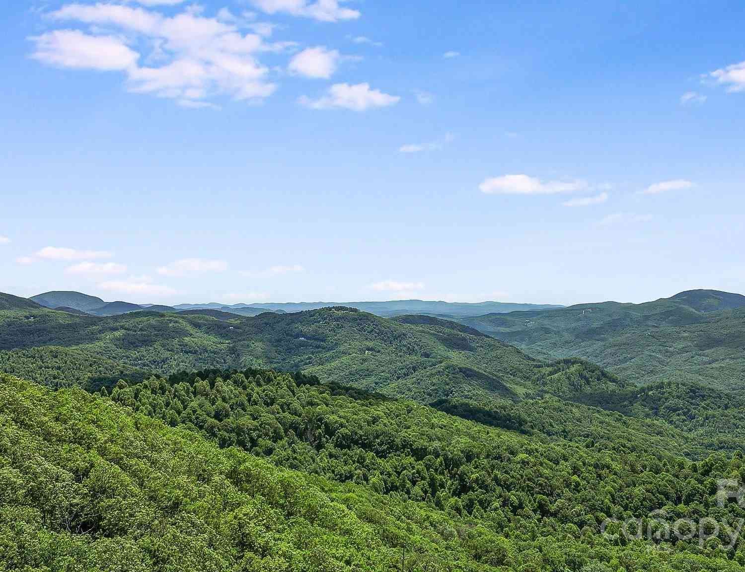 000 Still Spring Road, Black Mountain, North Carolina image 15