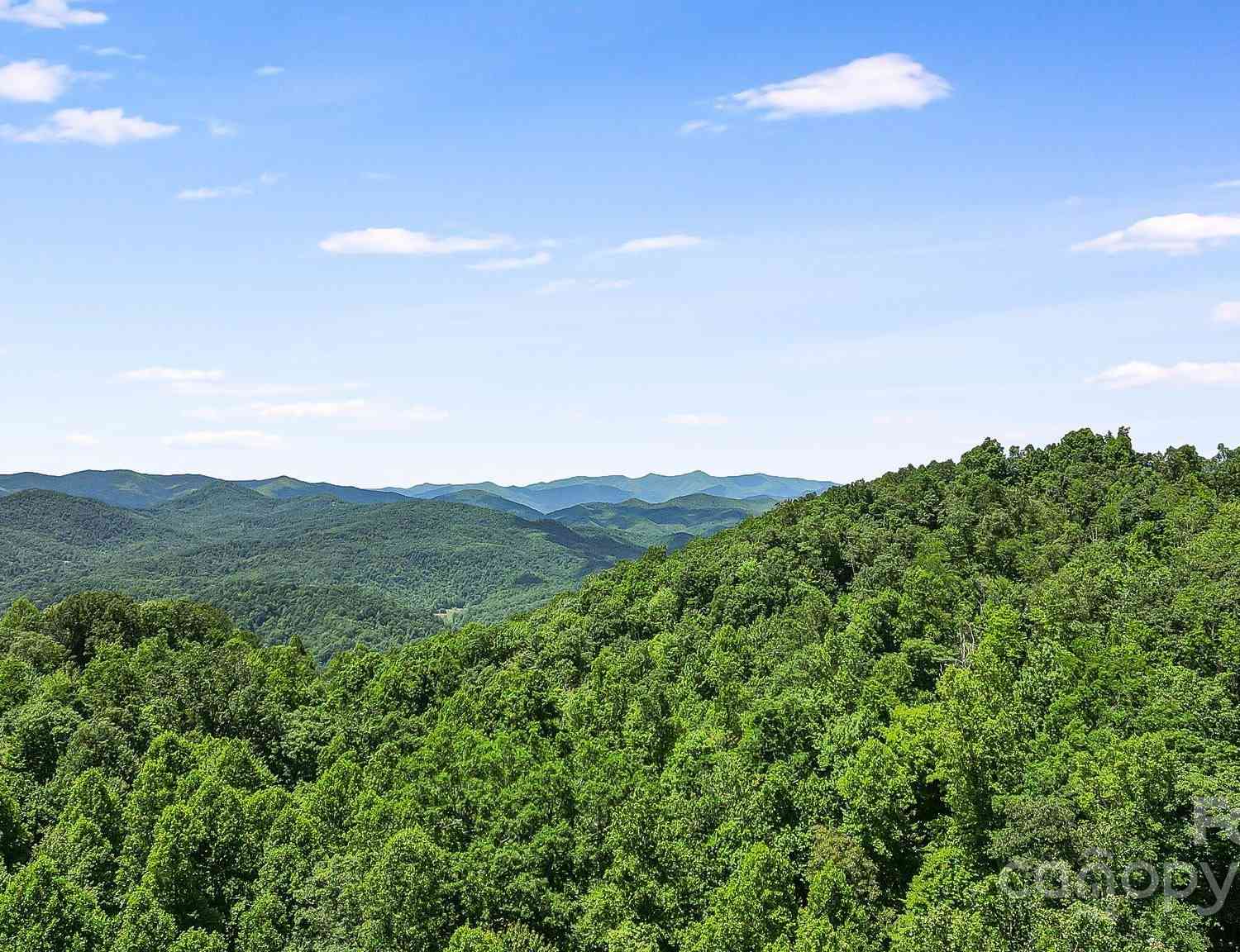 000 Still Spring Road, Black Mountain, North Carolina image 9