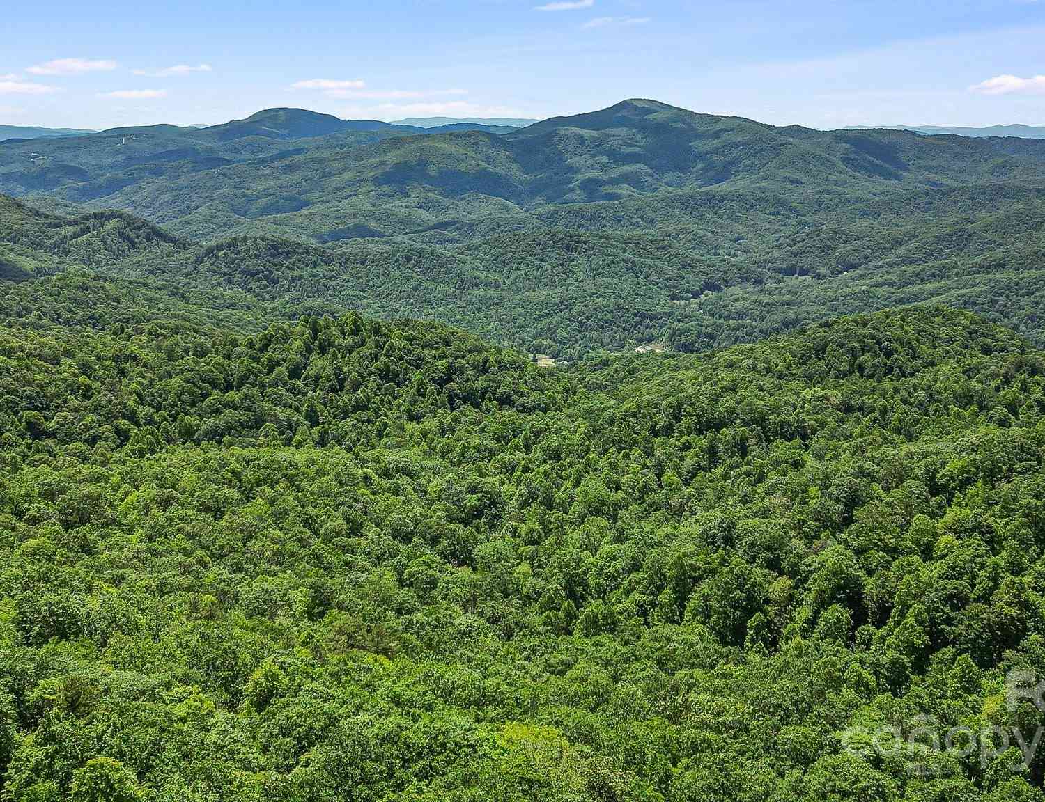 000 Still Spring Road, Black Mountain, North Carolina image 22