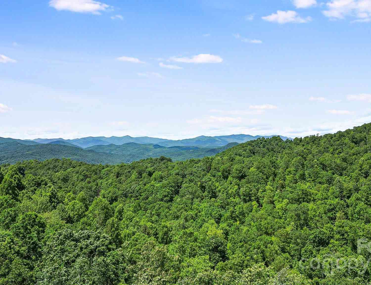 000 Still Spring Road, Black Mountain, North Carolina image 16