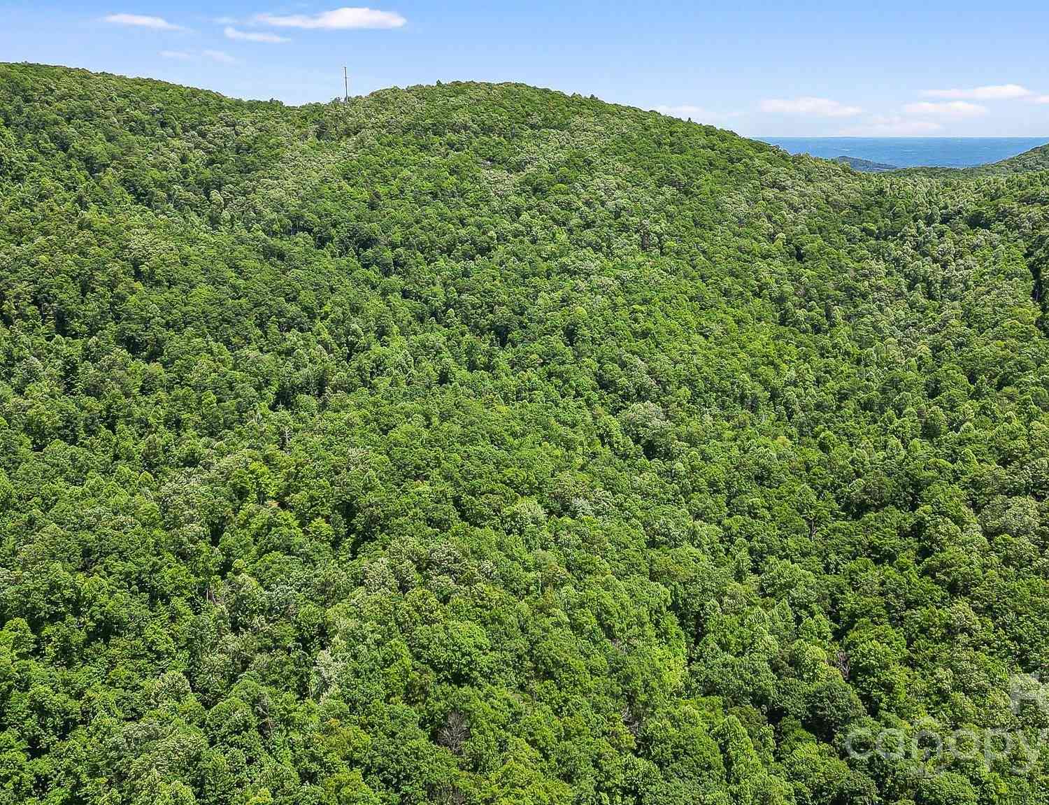 000 Still Spring Road, Black Mountain, North Carolina image 21