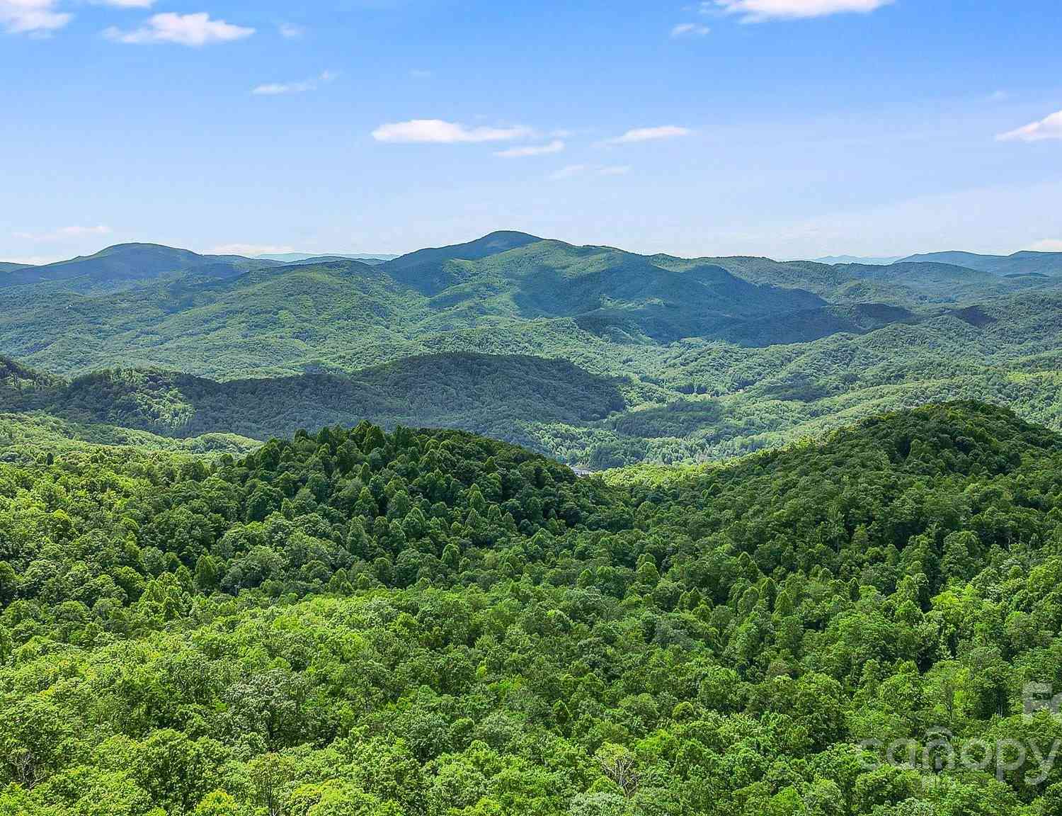 000 Still Spring Road, Black Mountain, North Carolina image 2