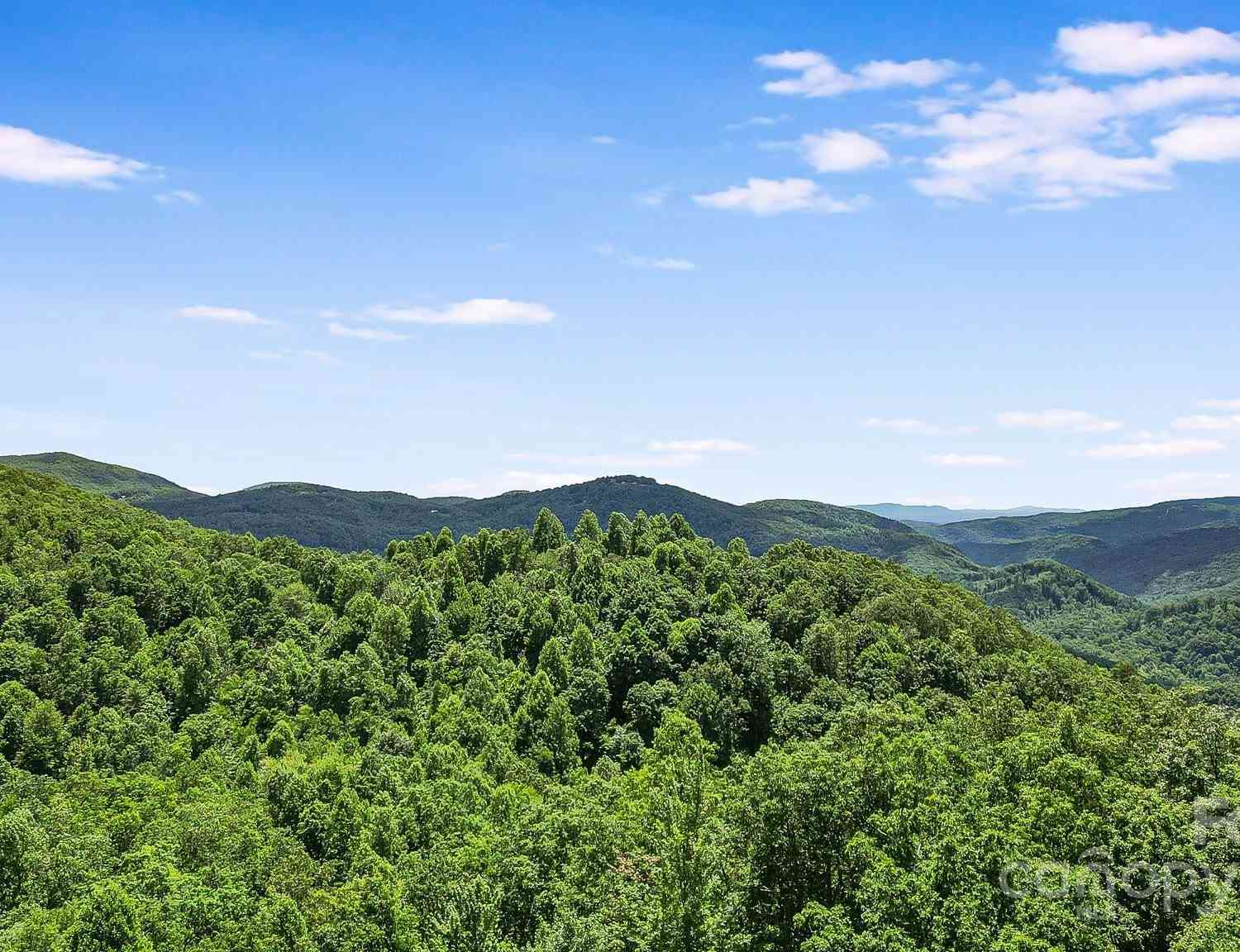 000 Still Spring Road, Black Mountain, North Carolina image 3