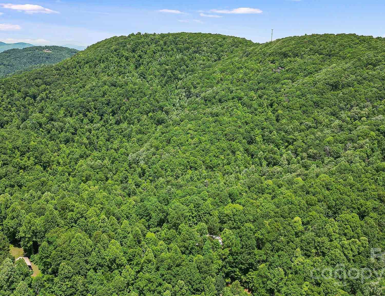 000 Still Spring Road, Black Mountain, North Carolina image 18