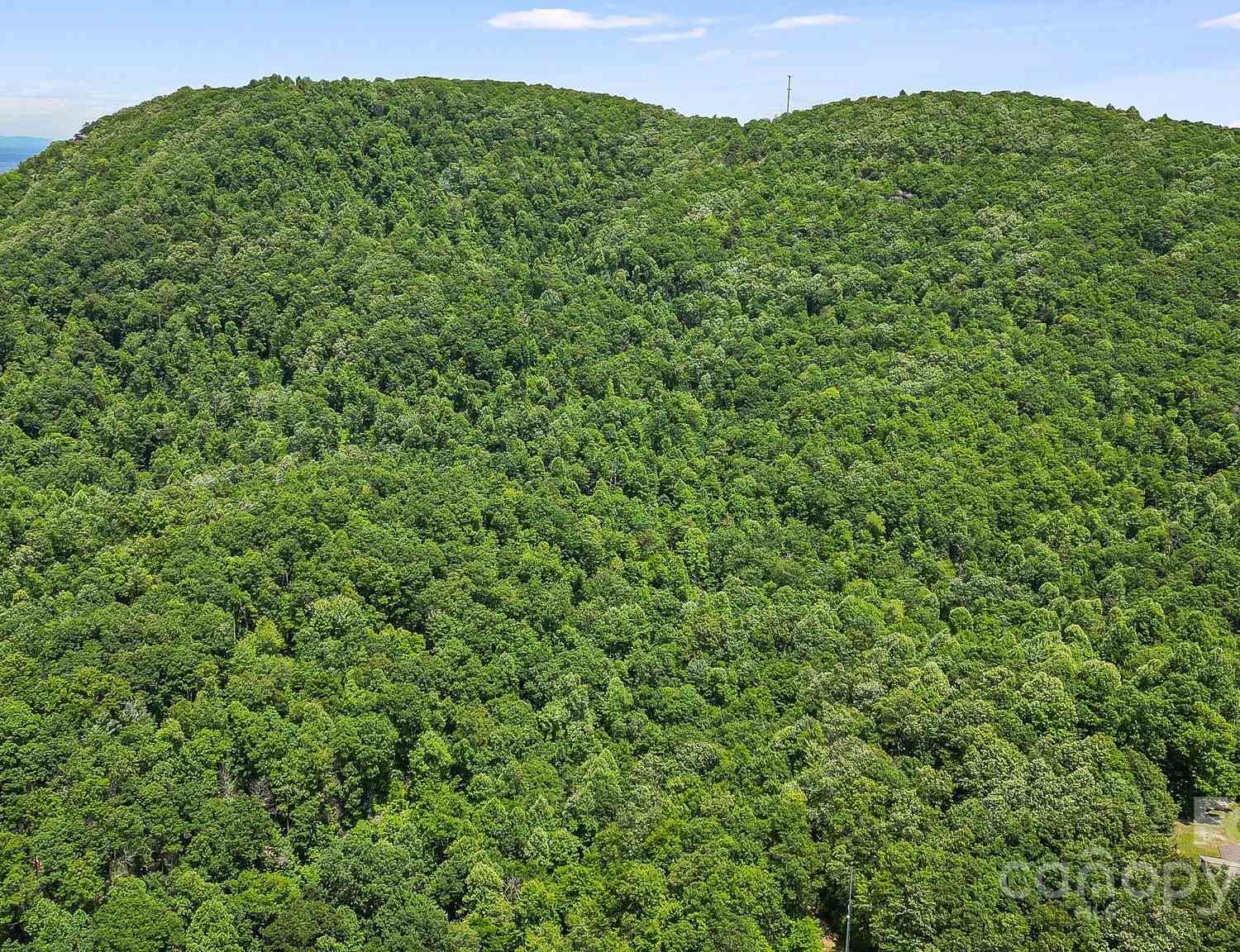 000 Still Spring Road, Black Mountain, North Carolina image 19