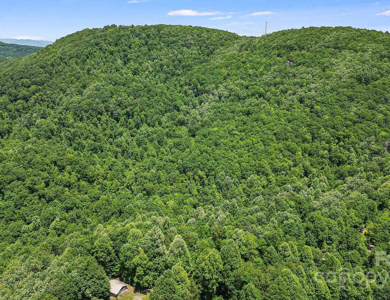 000 Still Spring Road, Black Mountain, North Carolina image 6