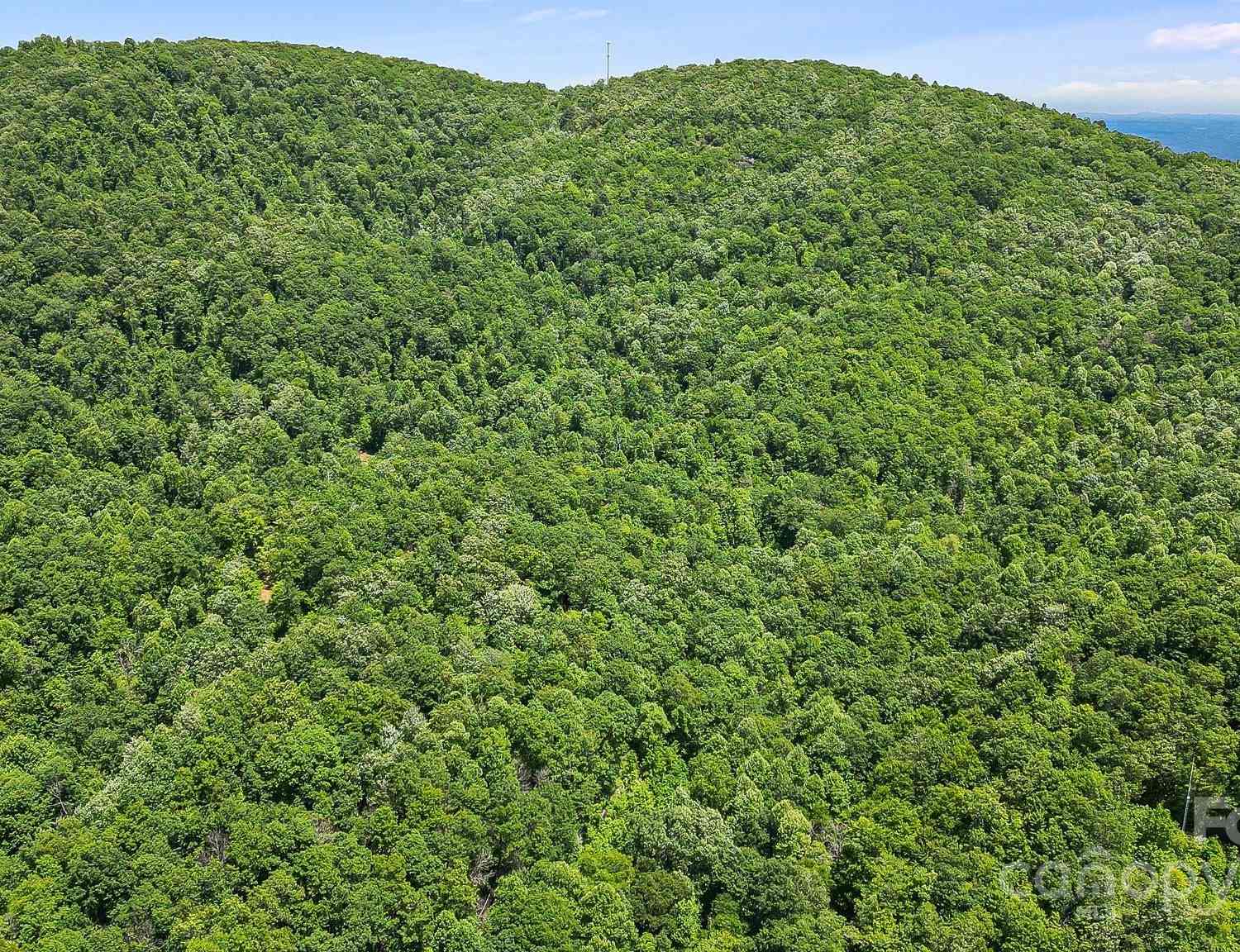 000 Still Spring Road, Black Mountain, North Carolina image 20