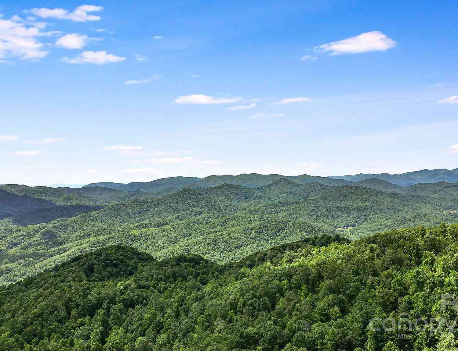 000 Still Spring Road, Black Mountain, North Carolina image 1