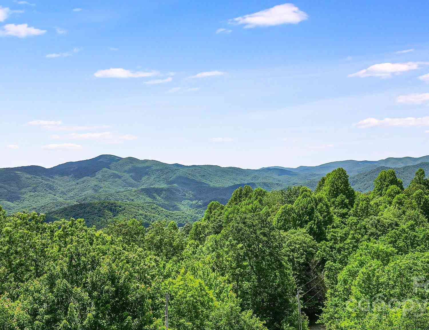 000 Still Spring Road, Black Mountain, North Carolina image 8