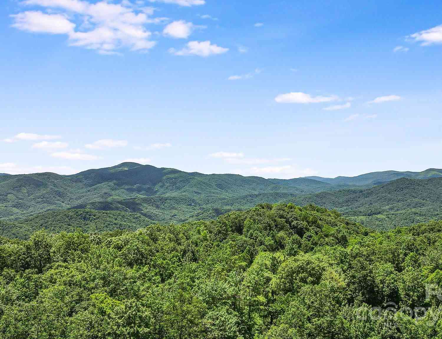 000 Still Spring Road, Black Mountain, North Carolina image 10