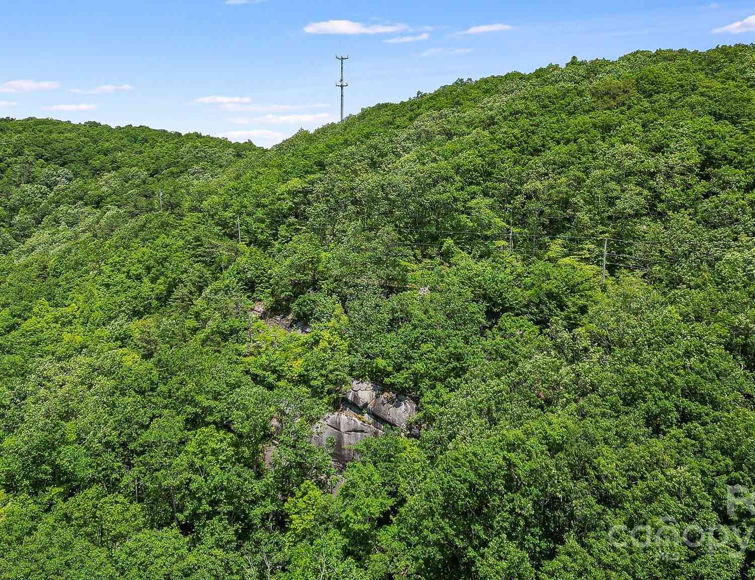 000 Still Spring Road, Black Mountain, North Carolina image 5