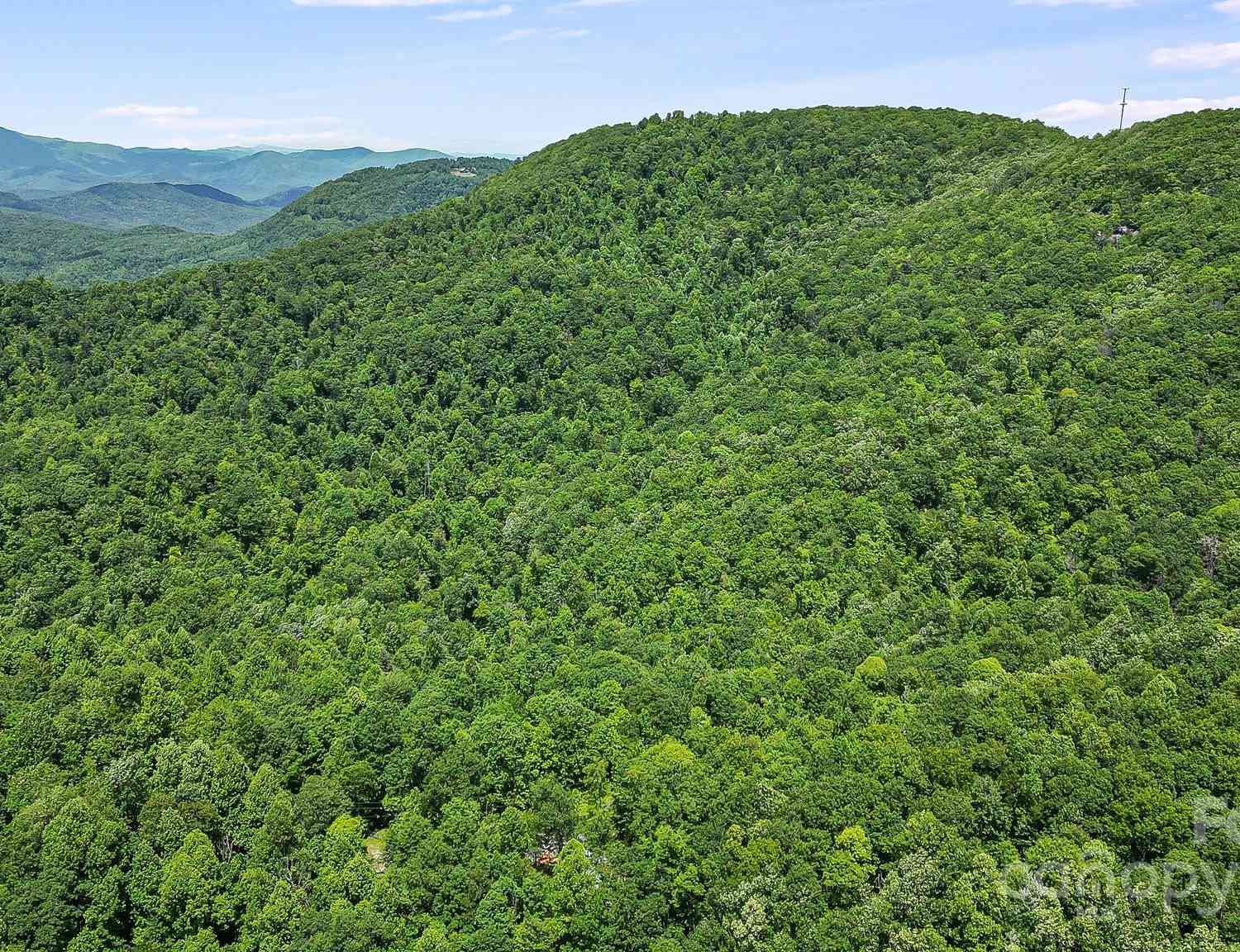 000 Still Spring Road, Black Mountain, North Carolina image 17