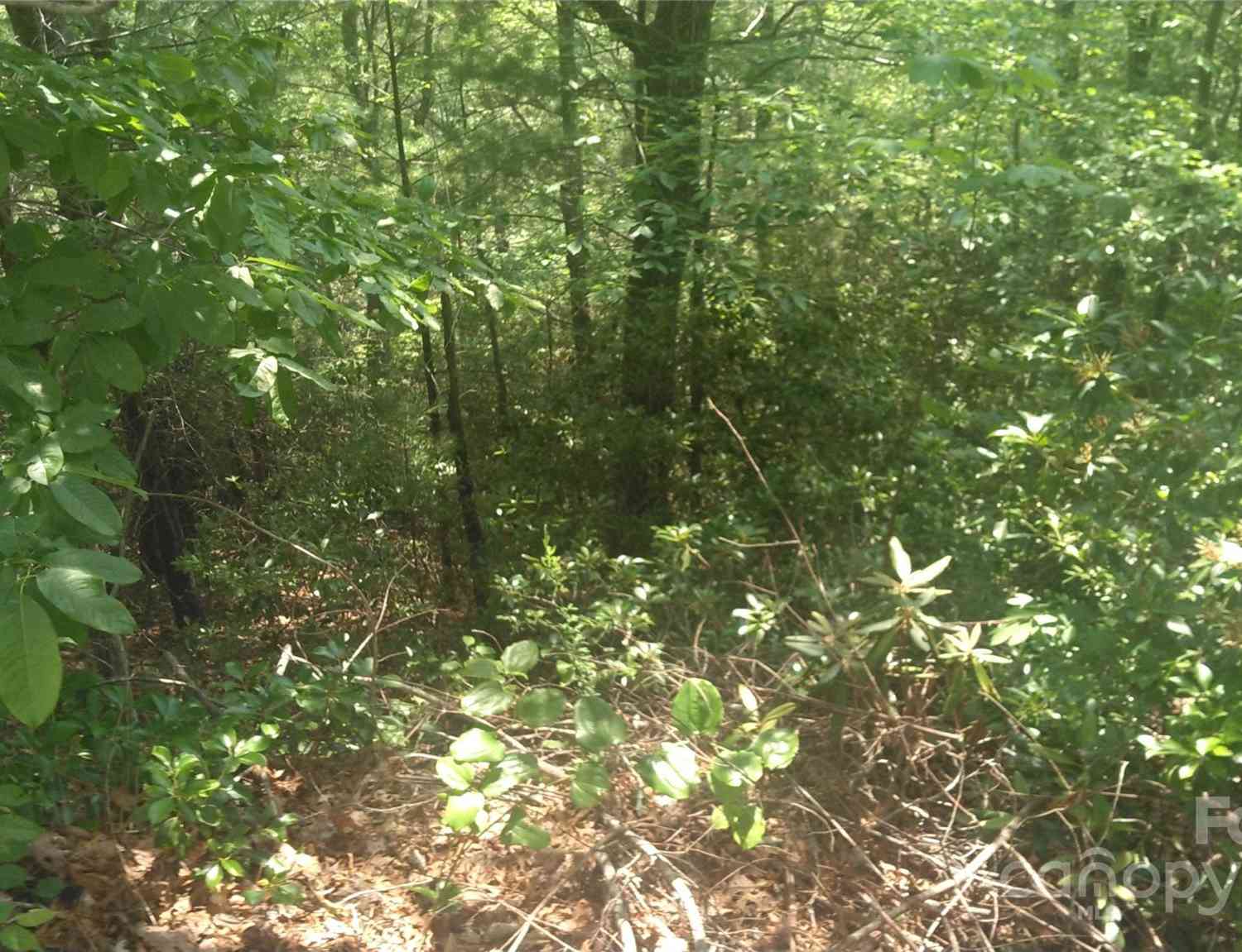 Lot 17 Deer Ridge Trail, Marion, North Carolina image 4