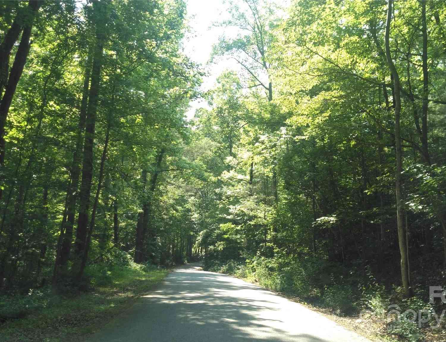 Lot 17 Deer Ridge Trail, Marion, North Carolina image 8