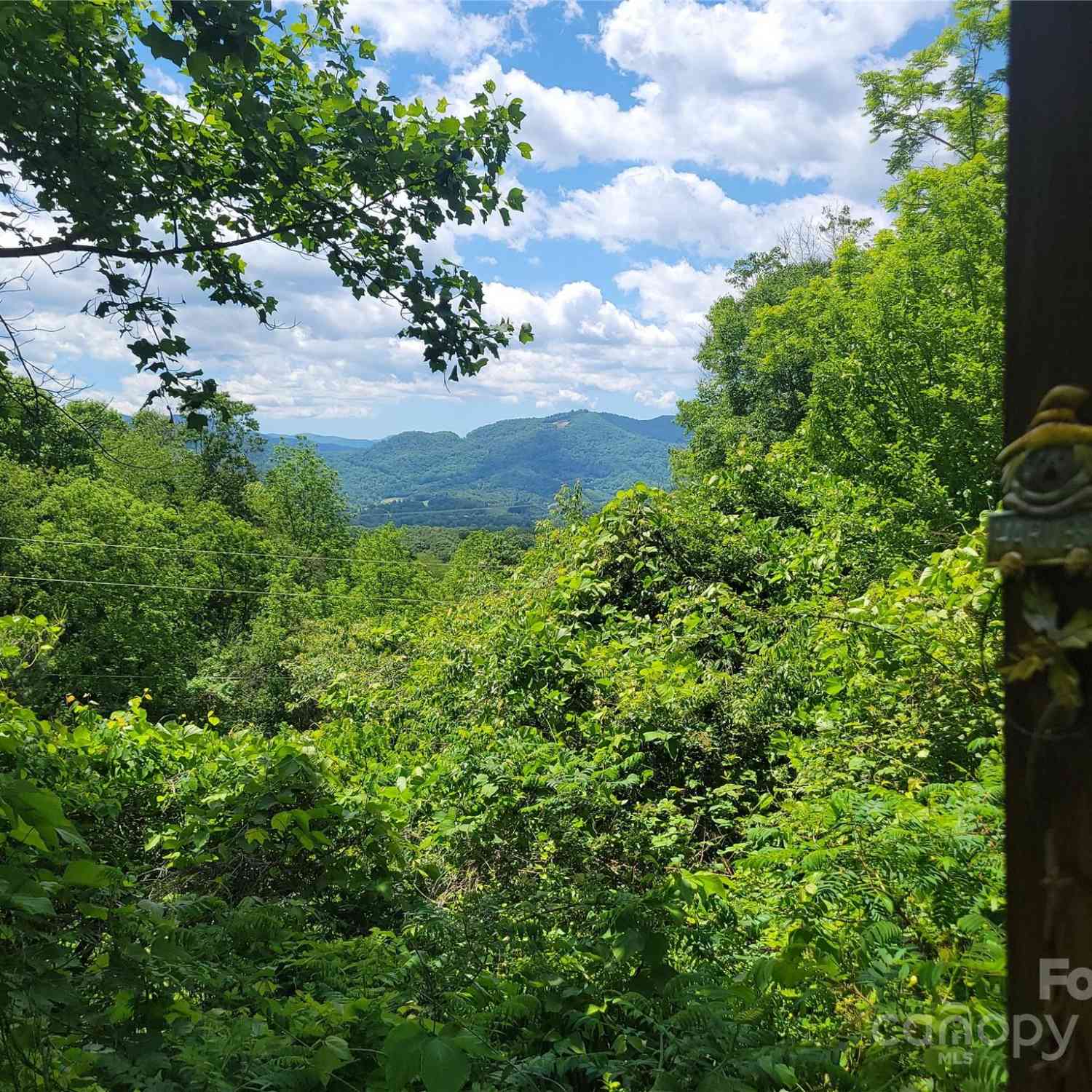 1905 Chambers Mountain Road, Clyde, North Carolina image 1