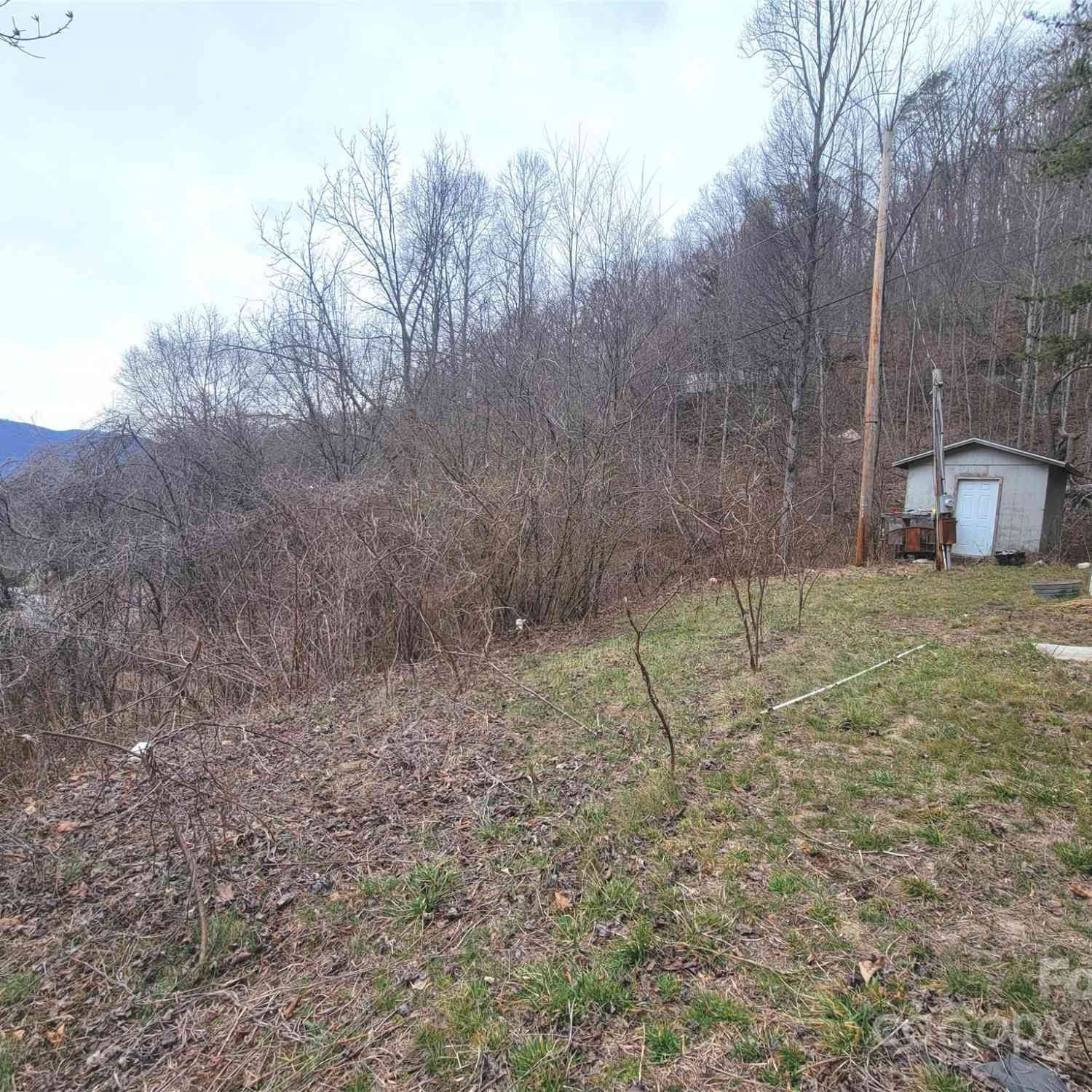 1905 Chambers Mountain Road, Clyde, North Carolina image 9