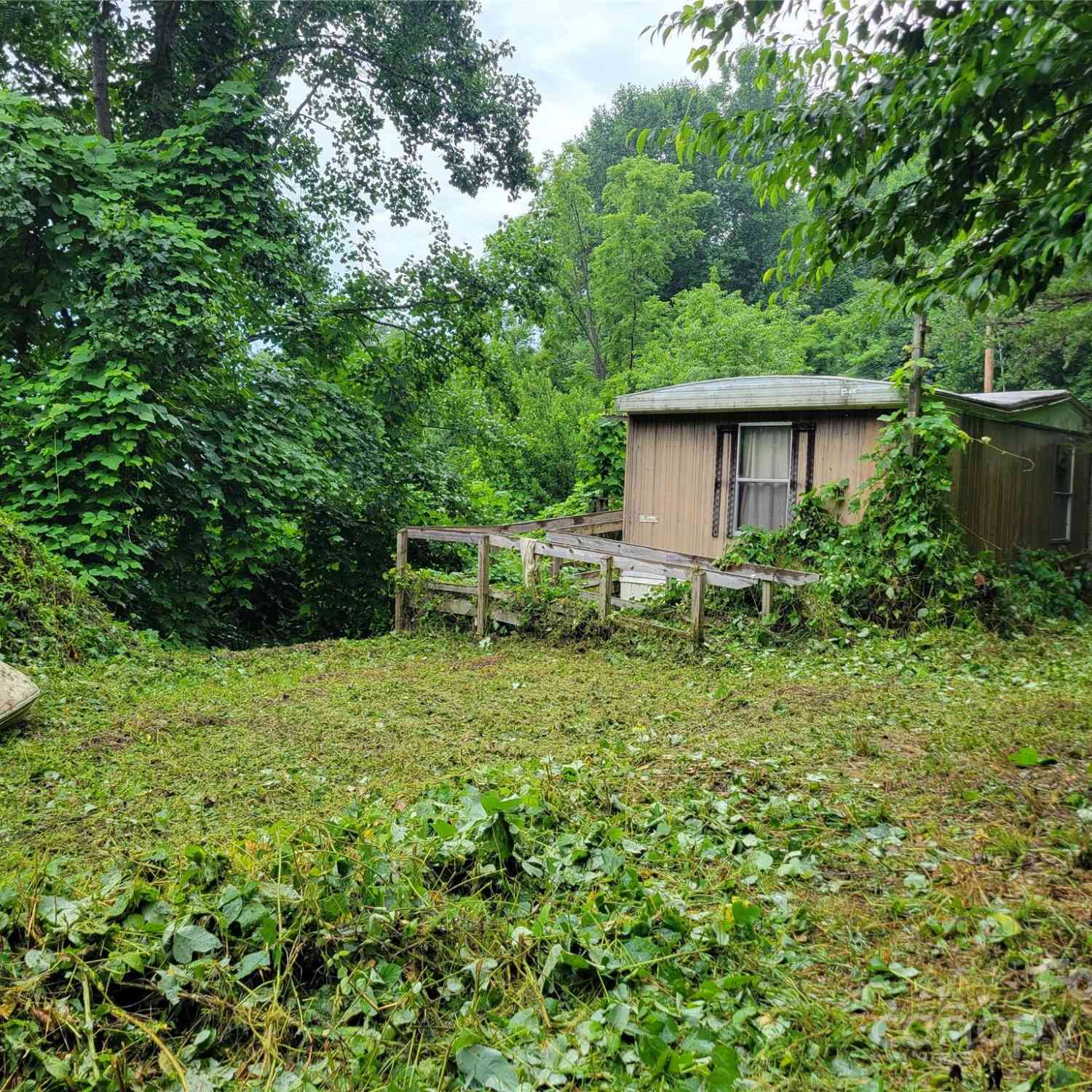 1905 Chambers Mountain Road, Clyde, North Carolina image 2