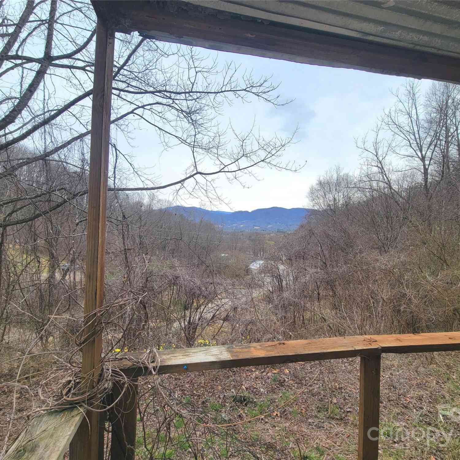 1905 Chambers Mountain Road, Clyde, North Carolina image 18