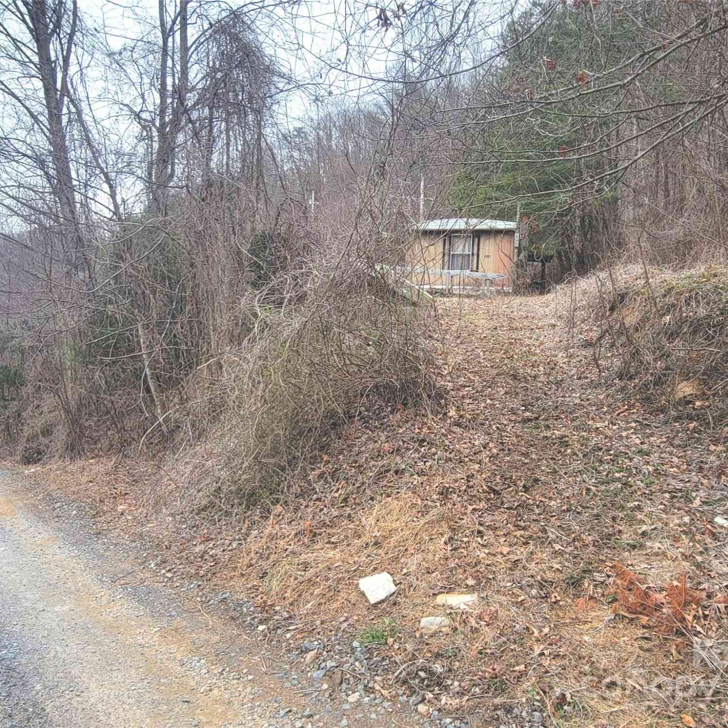 1905 Chambers Mountain Road, Clyde, North Carolina image 8