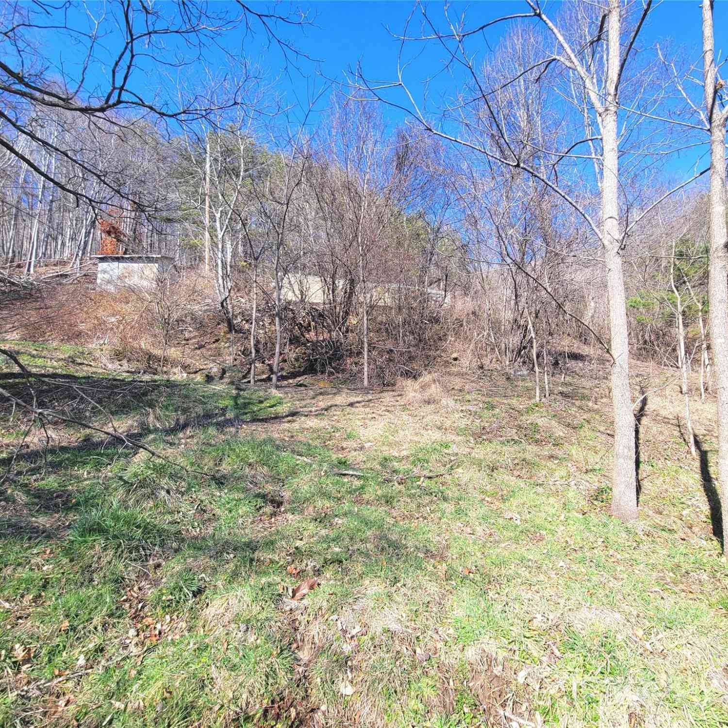 1905 Chambers Mountain Road, Clyde, North Carolina image 3