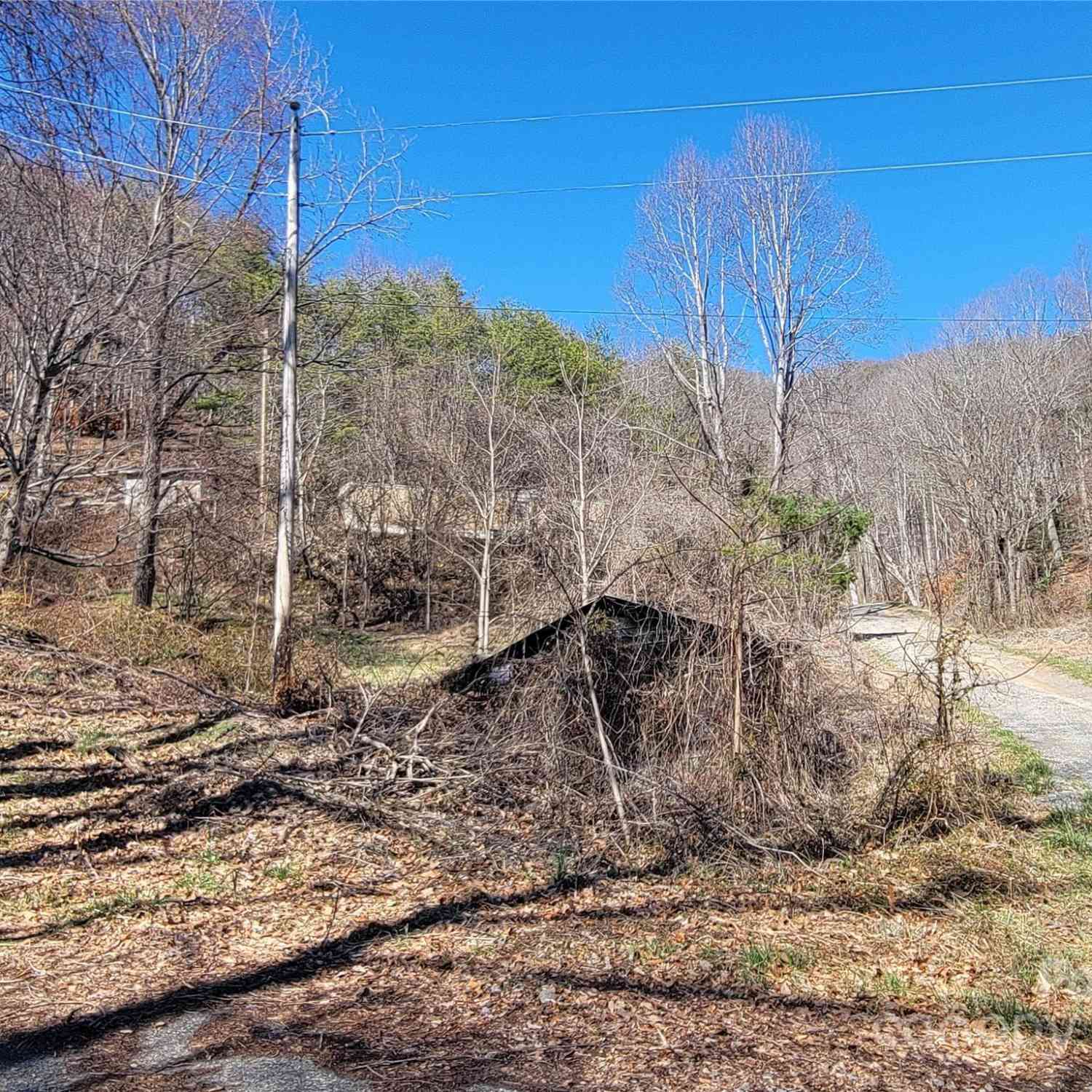 1905 Chambers Mountain Road, Clyde, North Carolina image 25