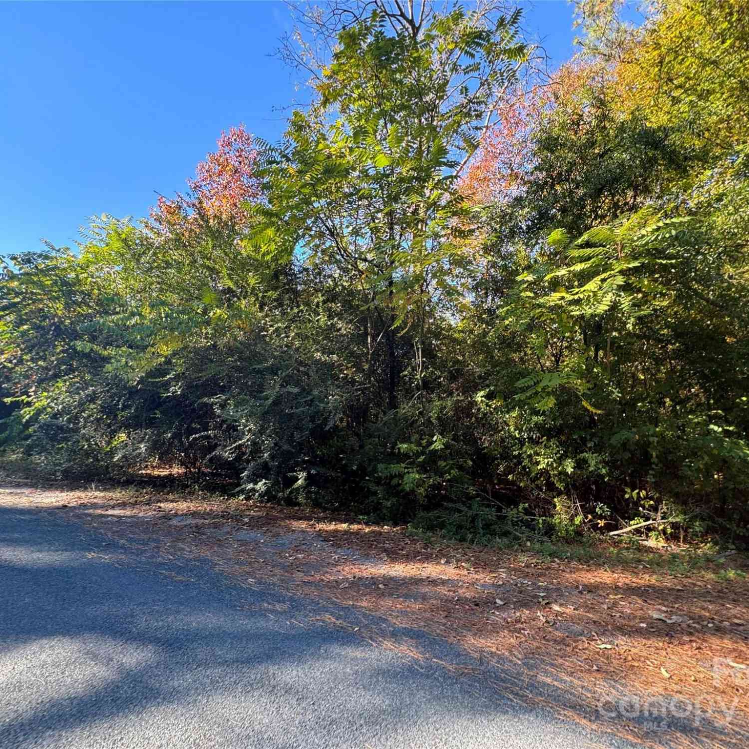 00 Lonnie D Aldridge Road, Monroe, North Carolina image 8