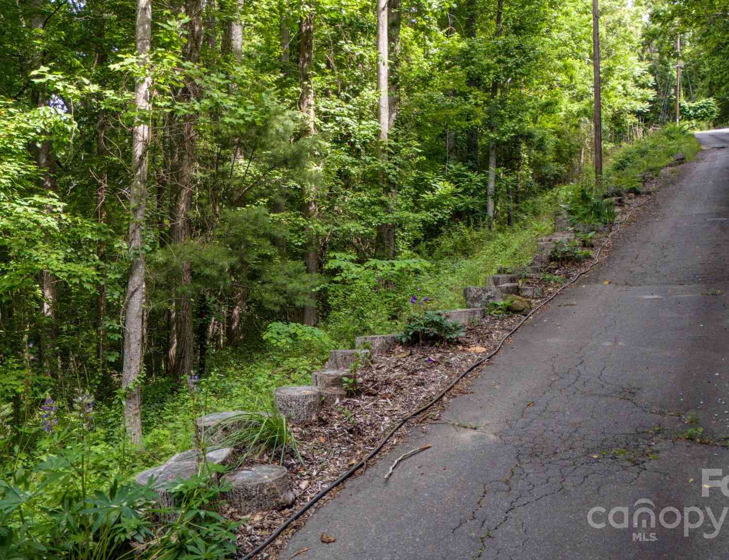 11 Scenic View Drive, Hendersonville, North Carolina image 4