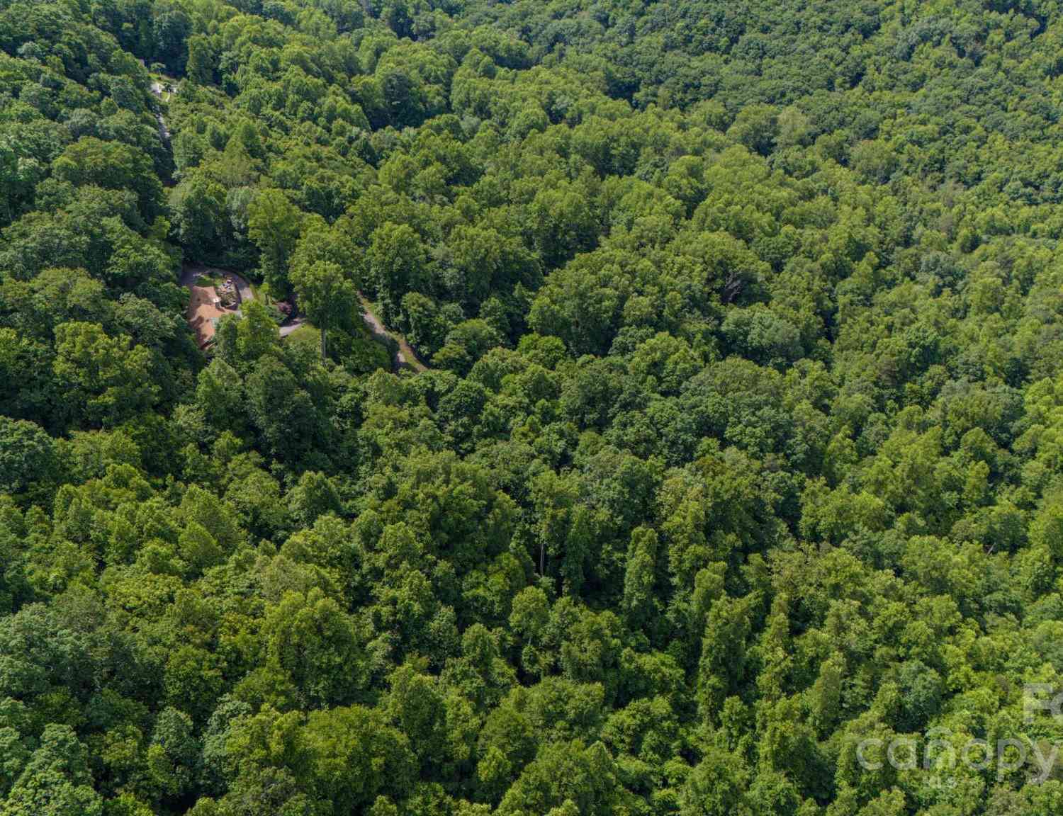 11 Scenic View Drive, Hendersonville, North Carolina image 13