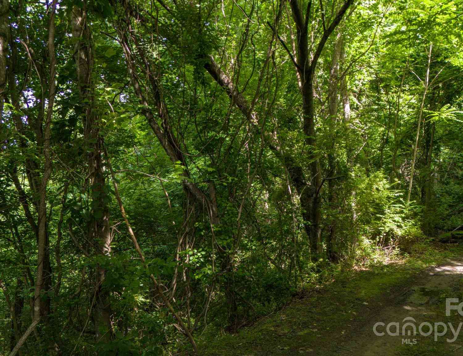 11 Scenic View Drive, Hendersonville, North Carolina image 18