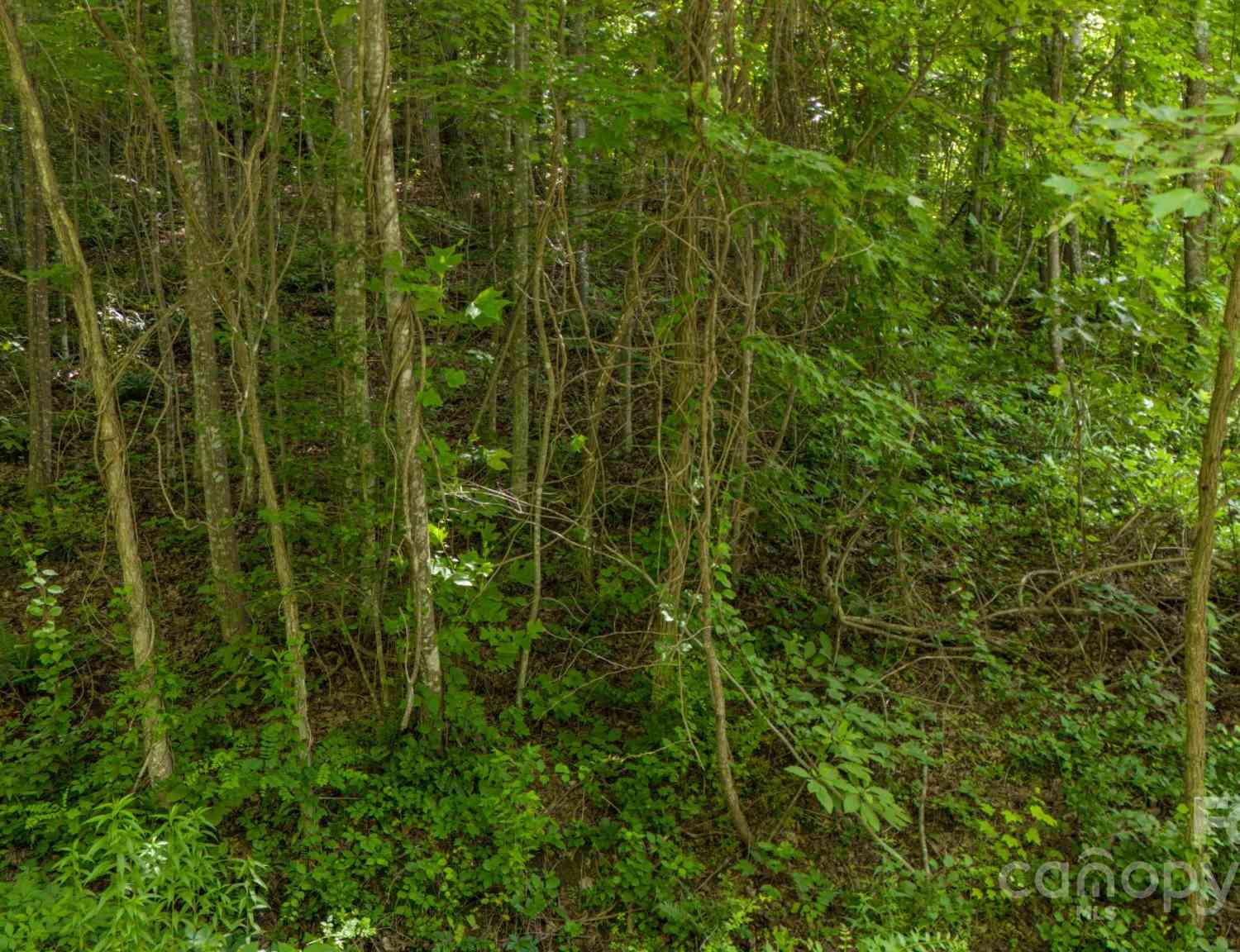 11 Scenic View Drive, Hendersonville, North Carolina image 7