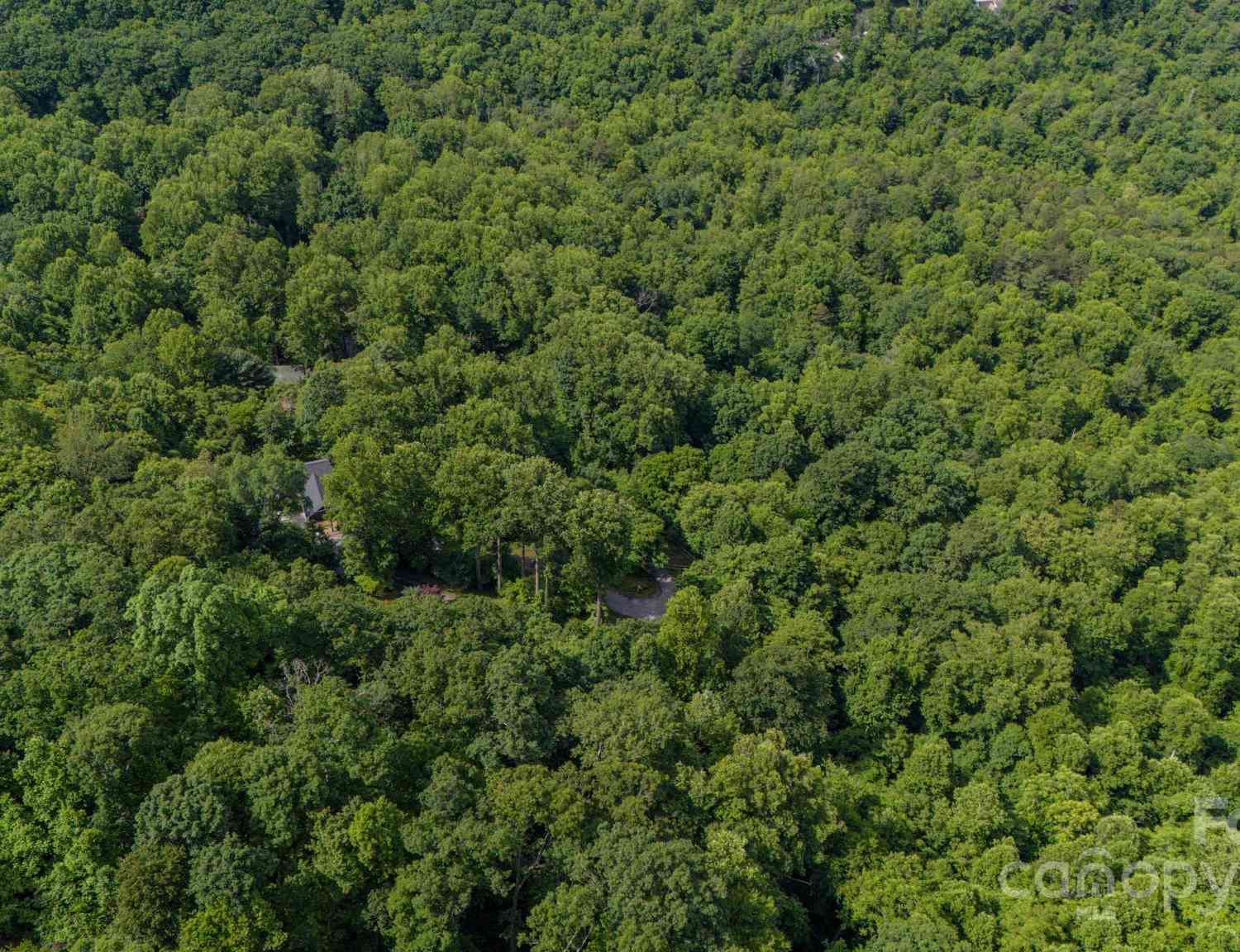 11 Scenic View Drive, Hendersonville, North Carolina image 19