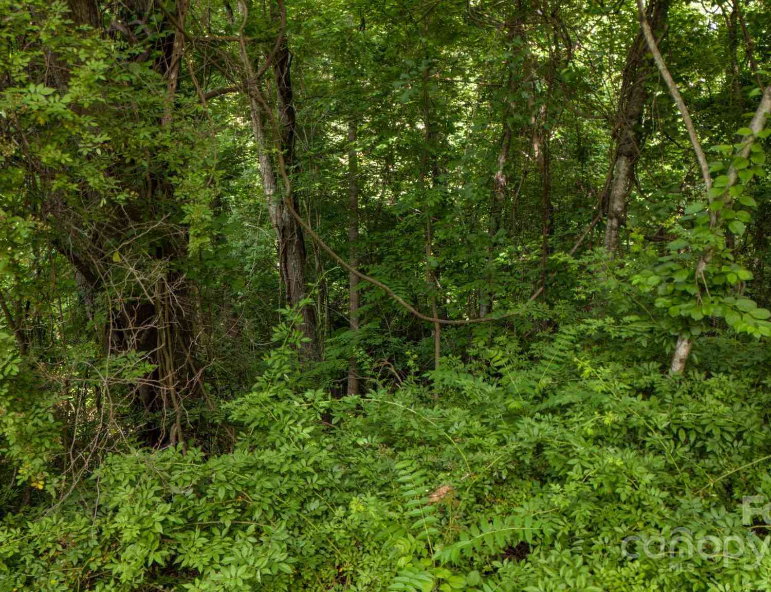 11 Scenic View Drive, Hendersonville, North Carolina image 8